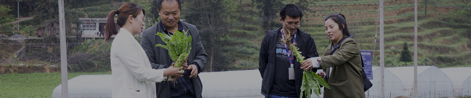 促農發展_福禧農產品