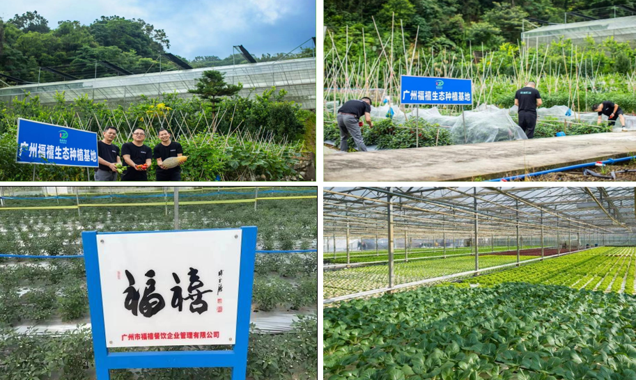 供應(yīng)基地和供應(yīng)商_福禧農(nóng)產(chǎn)品